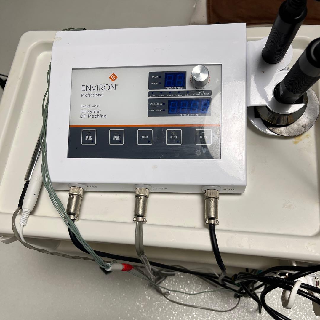 観音菩薩像 絹本】橋本雅邦画 軸装 共箱無し