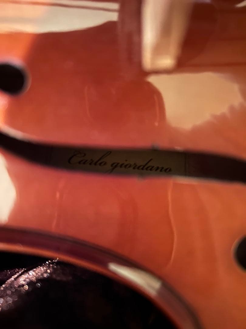 ビオラ　ヴィオラ　カルロジョルダーノ　VL-1 16インチ　2012年製
