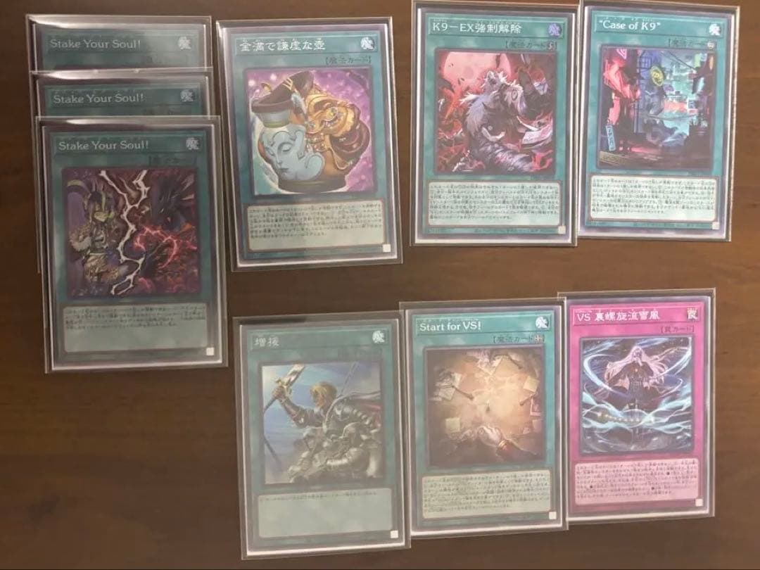 【遊戯王】VSK9デッキ（メイン40+ex15）セット【本格構築】