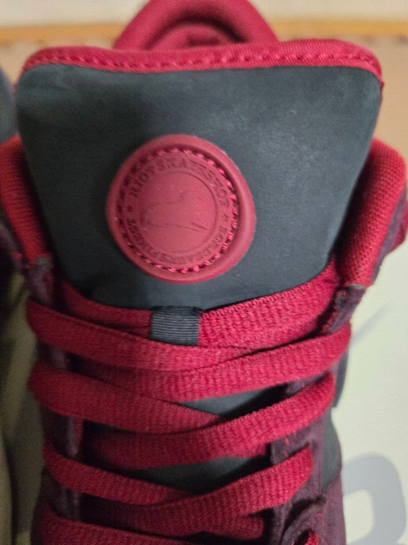 スケートボード Nike SB Dunk Low Riot Skate Bords 28.0cm