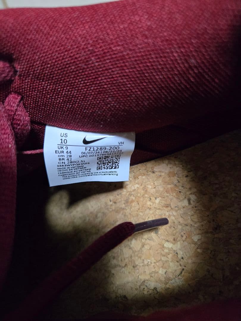 スケートボード Nike SB Dunk Low Riot Skate Bords 28.0cm