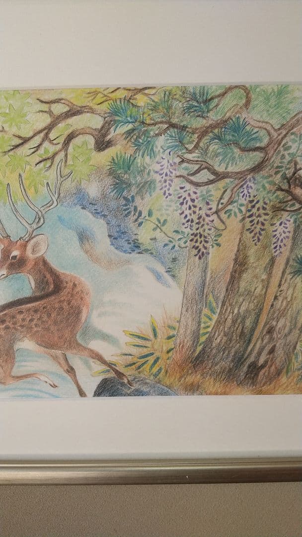 日本画デッサン画⑦