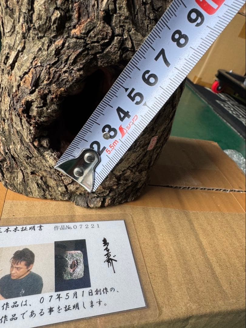 三本木 森兵衛A+Ω クラフトウッド 「クワガタ」 - メルカリ