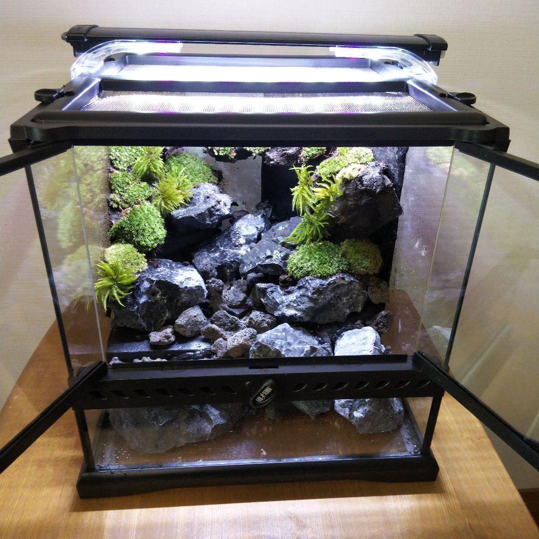 受注生産】イモリウムグラステラリウム3030苔テラリウムアクアテラリウム