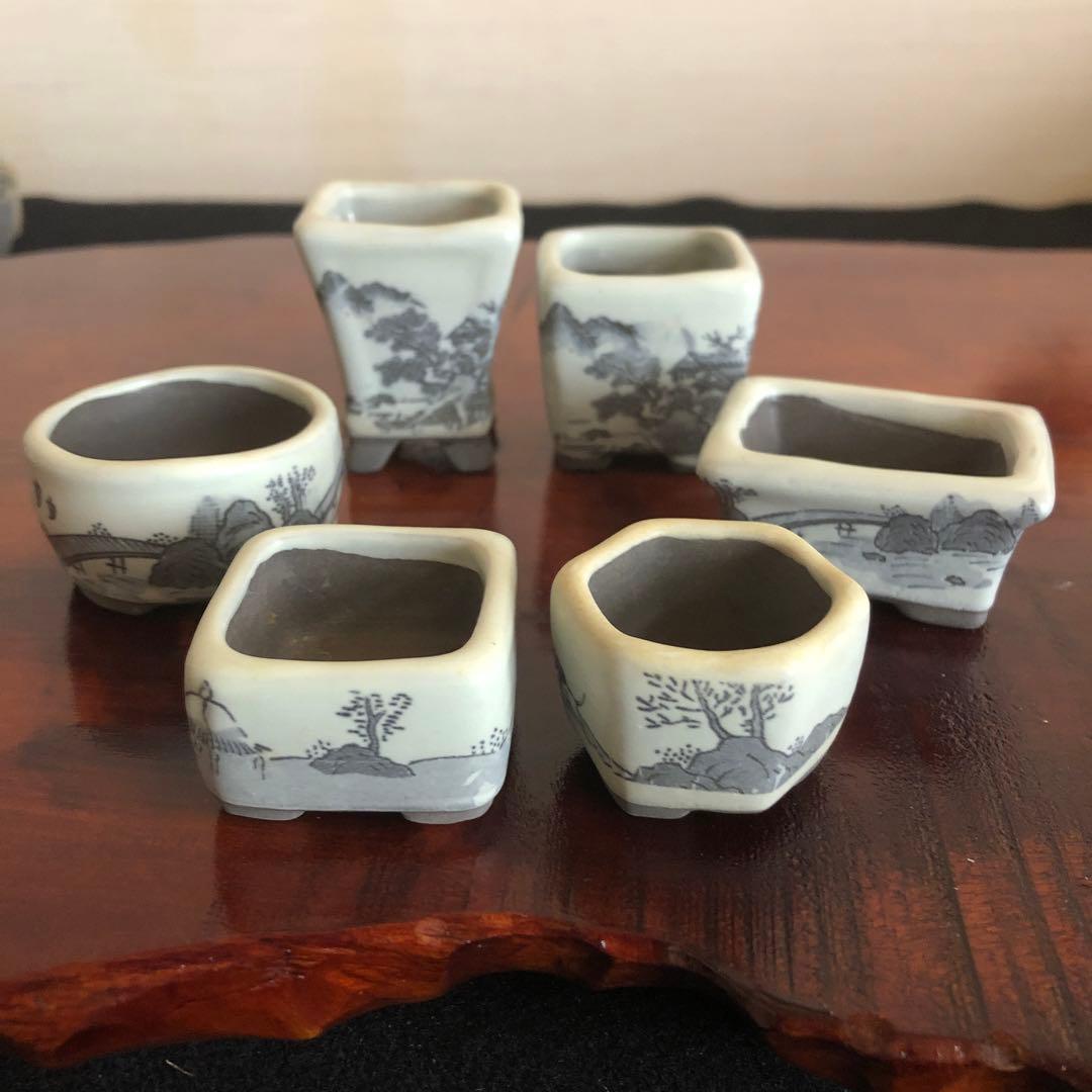 小品盆栽　サボテン　植物鉢 8点組　絵柄6点　小餅庵2点