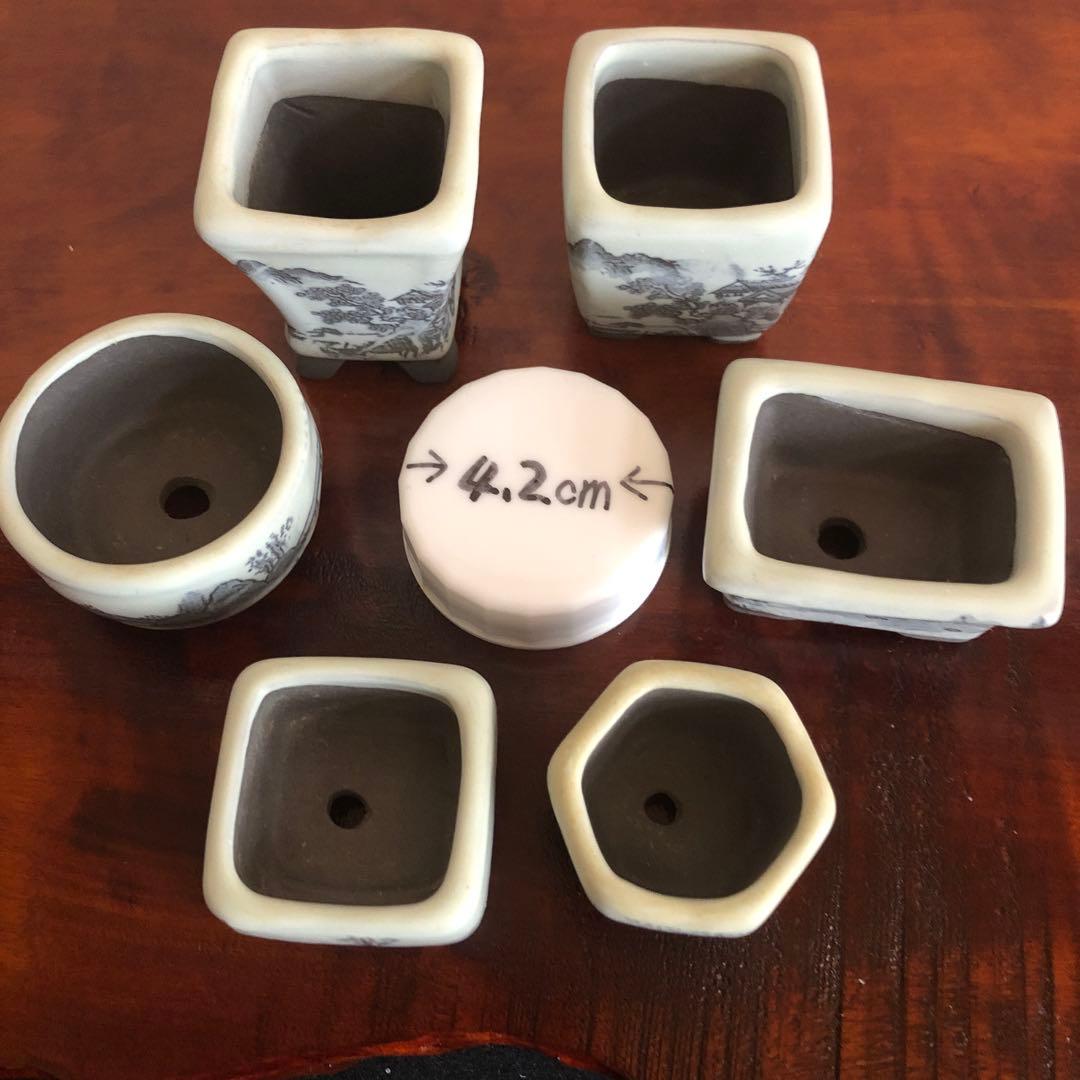 小品盆栽　サボテン　植物鉢 8点組　絵柄6点　小餅庵2点