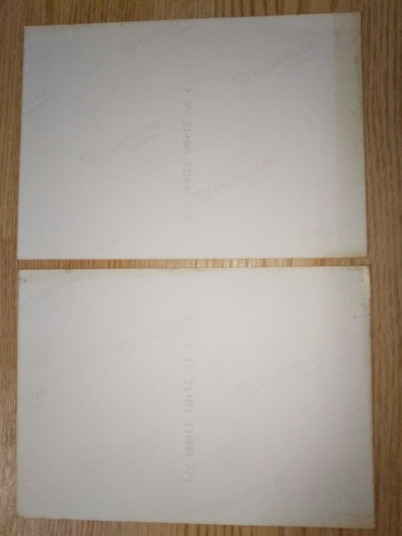 ダウンタウン 生写真２枚組