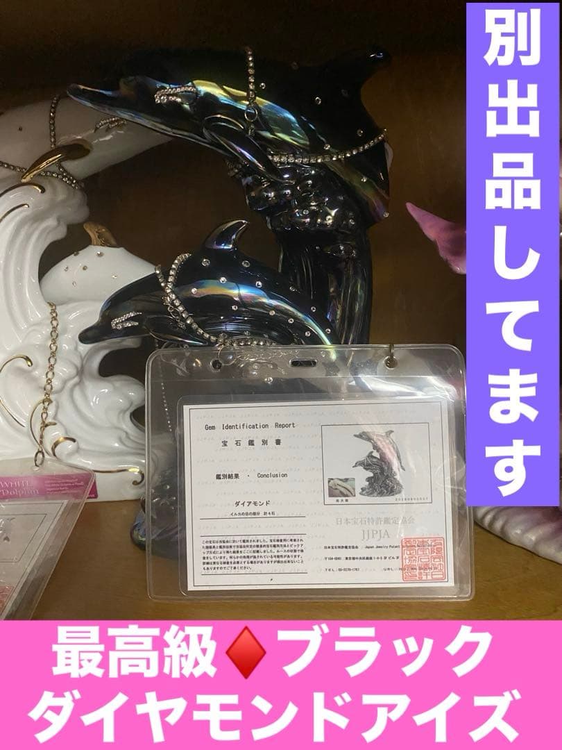 希少♦️ドルフィン ブランデー♦️人気のゴールド♦️仲良し2匹