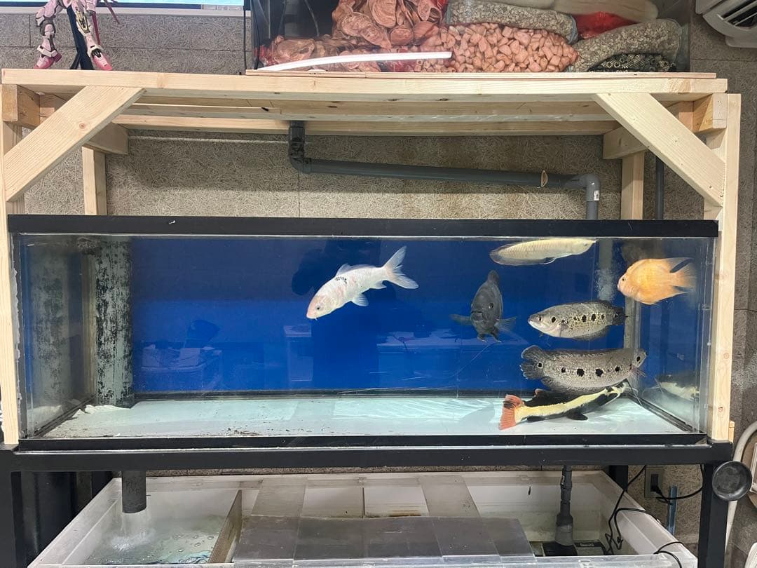 1800×600×600オーバーフローアクリル水槽 セット