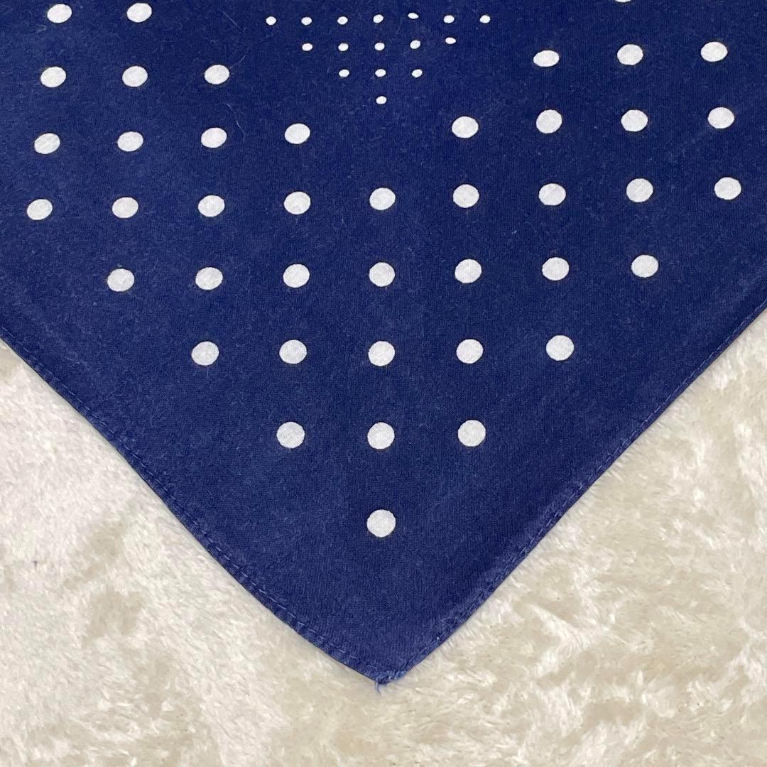 希少30s40s ポルガドット 下鼻 ゾウ 片耳 FAST COLOR