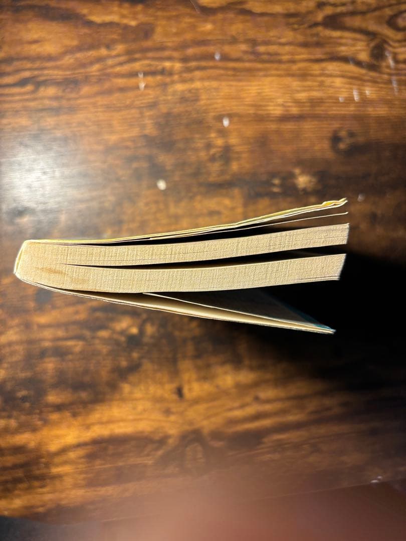 チ*ー様 【初版】ドラゴンボール 一巻　旧装版