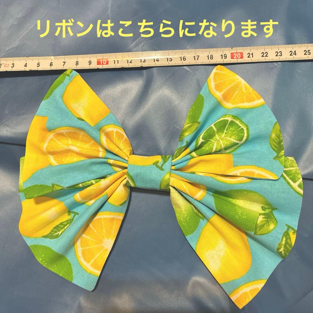 レモンオールディーズロックンロール 50年代フィフティーズ 2枚セット