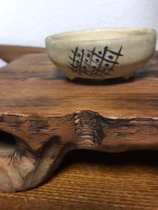 盆栽鉢　おまけ2個付時代名工常滑服部絵付け手捻りミニ盆栽鉢8x3.5cm服部3個