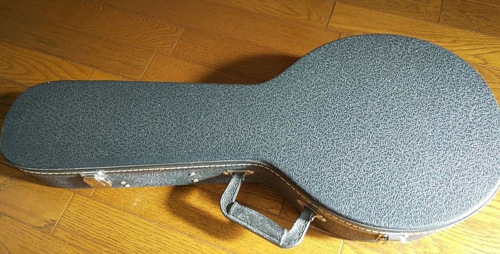 フラットマンドリン アリアAM-200E