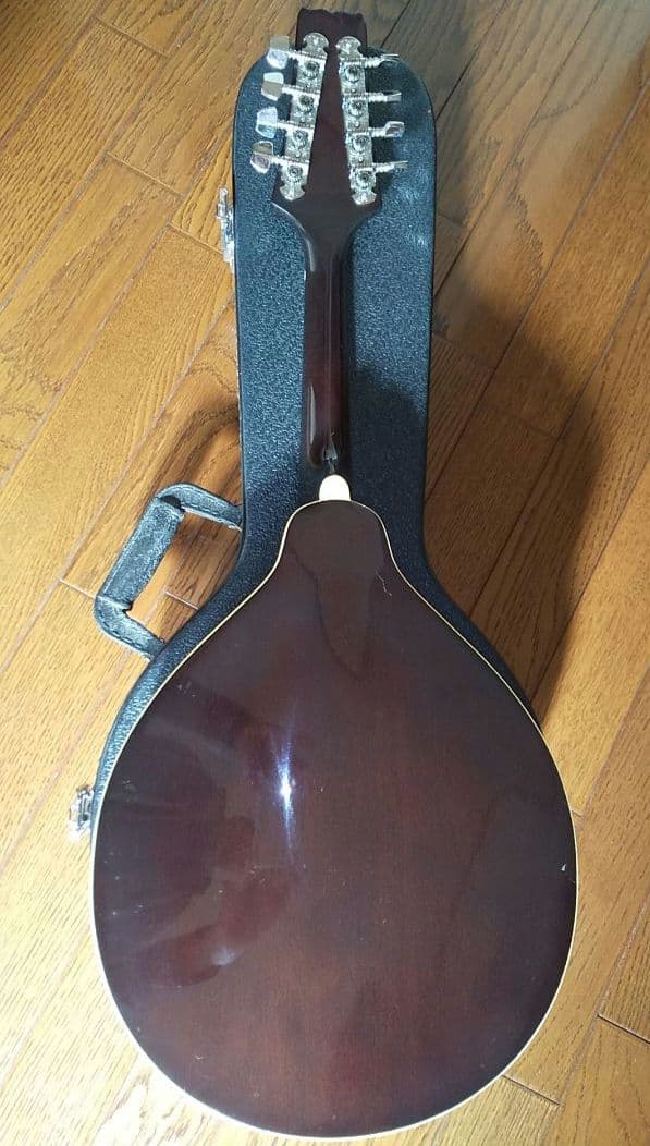 フラットマンドリン アリアAM-200E