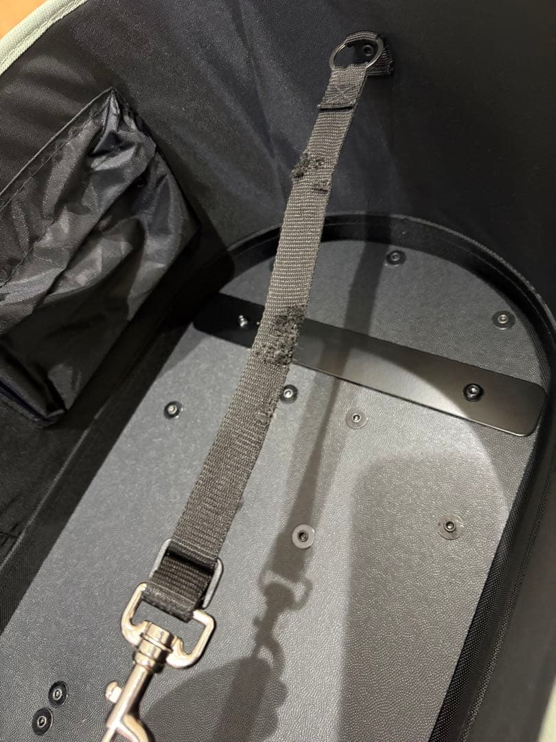 AIRBUGGY DOME3 ラージ グラスグリーンカスタム AIRBUGGY DOME3 ラージ