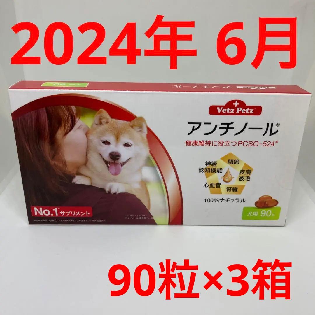 3箱 アンチノール 犬用 サプリメント 90粒 賞味期限2024年6月 3箱 アンチノール 犬用 サプリメント 90粒 賞味期限2024年6月 VetZ