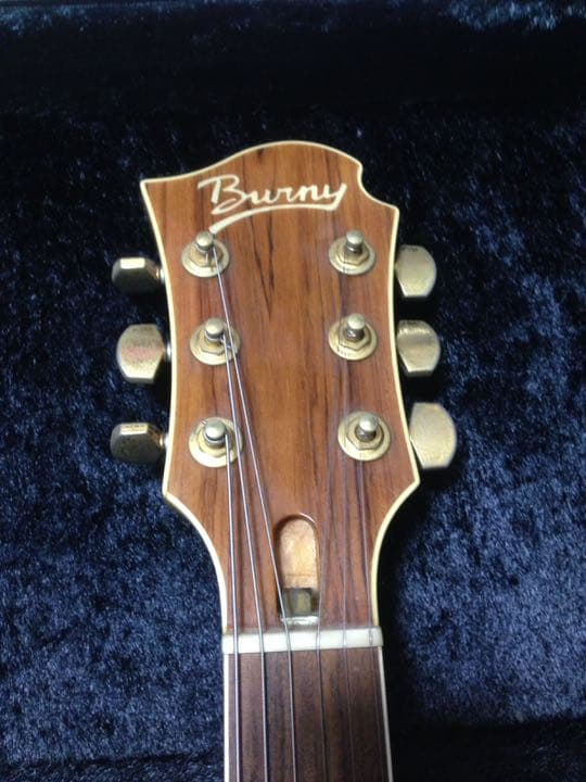 hideモデルチェリーサンバースト モッキンバードMG-105X/CS BURNY MG