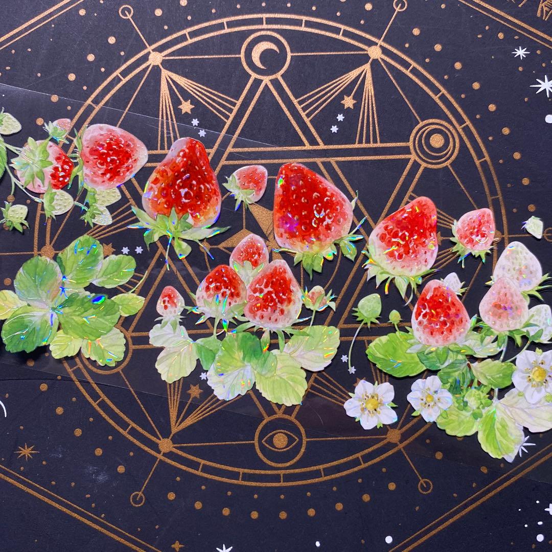 9243】海外 マステ 中古巻 貝殻光マスキングテープ 苺 果物 お花 装飾系