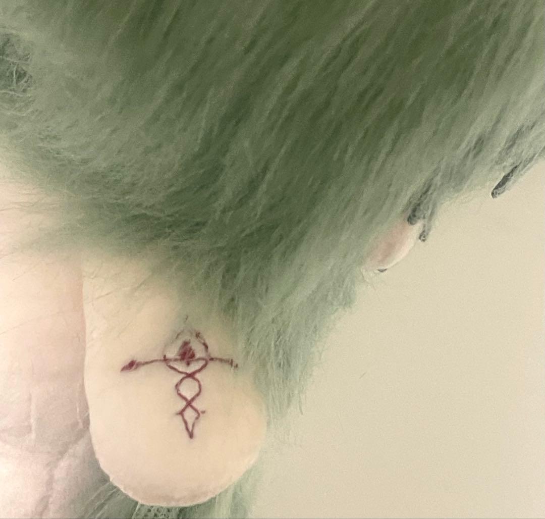 20cm ぬいぐるみ 崩壊スターレイル アナイクス 那刻夏 本体+耳