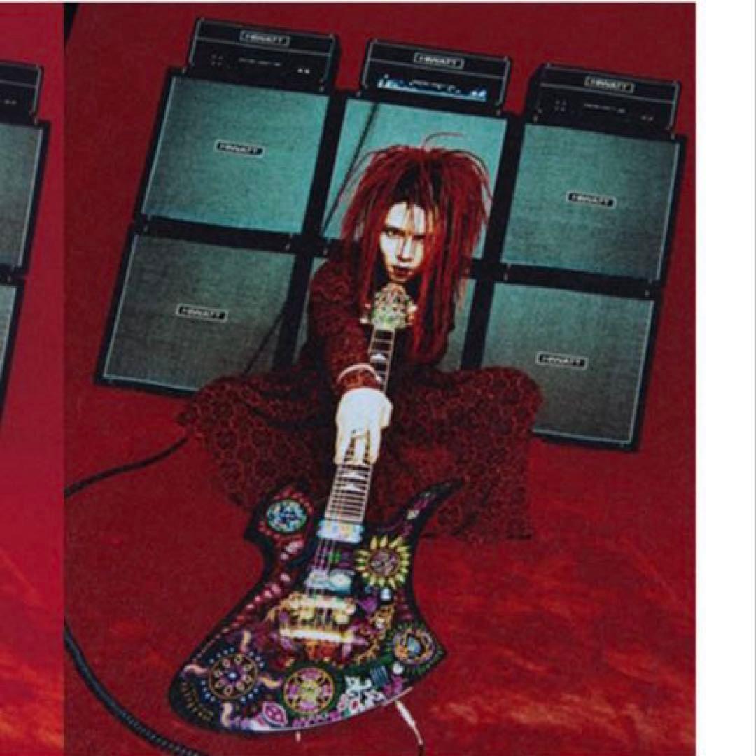 ミュージシャン Amplifier \"hide\" TEE design H