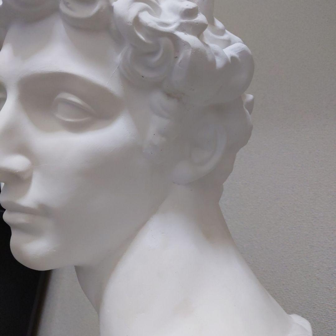 メディチ 石膏像