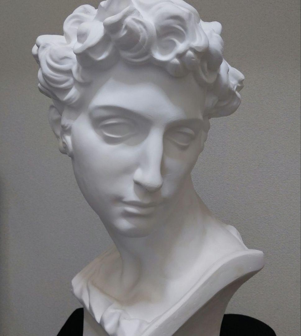 メディチ 石膏像 K-164 ジュリアーノ・メジチ胸像 - 日本で唯一の石膏