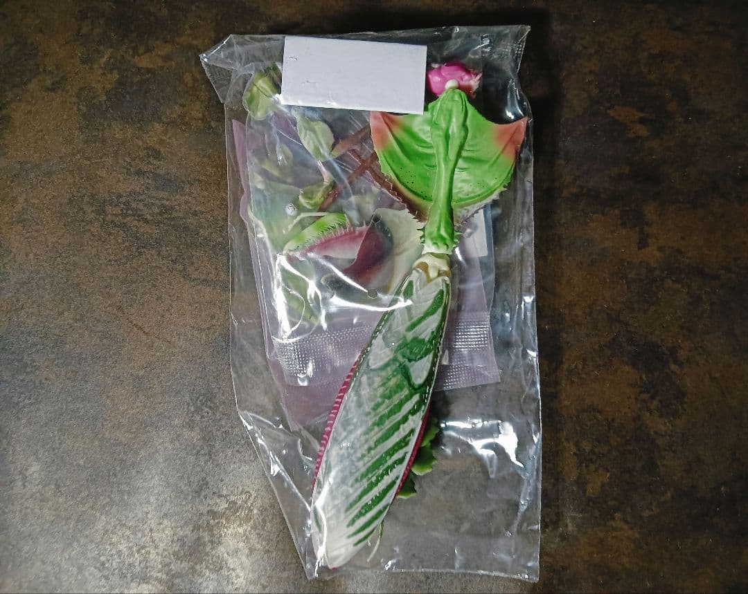 いきもの大図鑑アドバンス ニセハナマオウカマキリ　オス 成虫　オンライン版