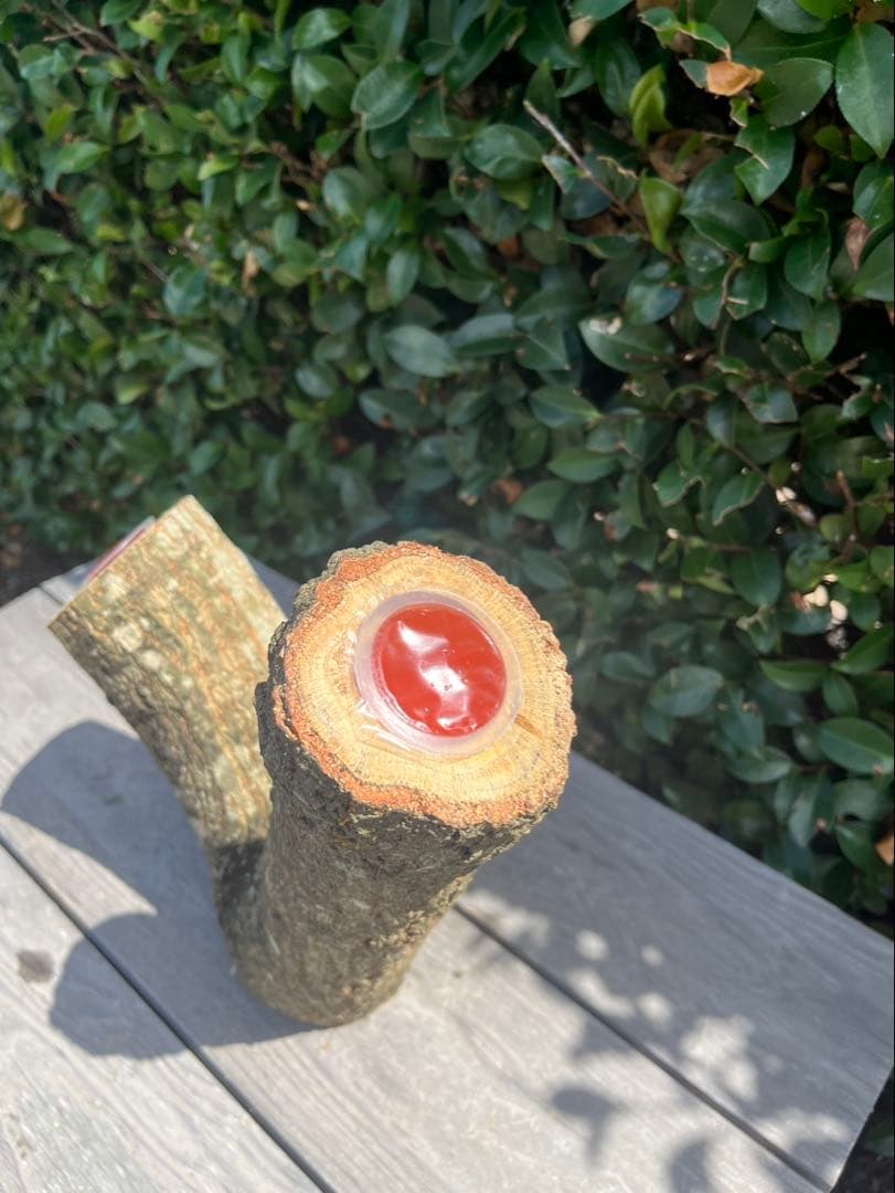 キングクルール様オーダー品 クヌギ エサ皿