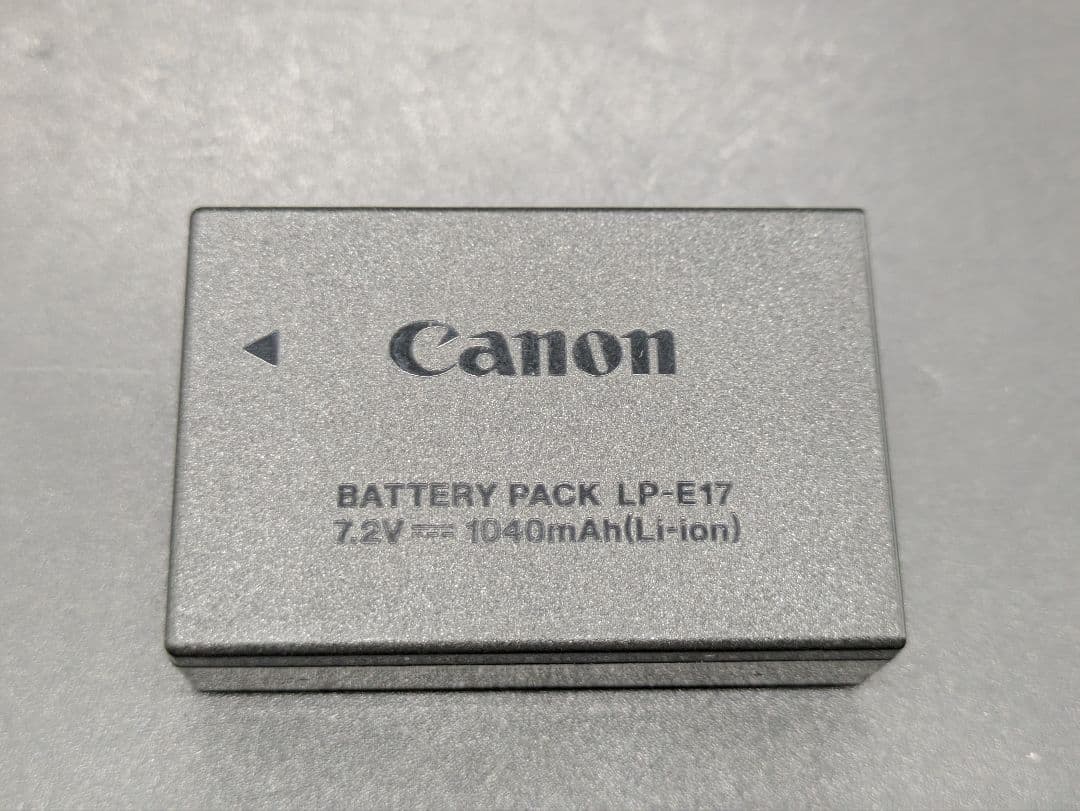 Canon EOS Kiss X10i マクロレンズ ズームレンズ付き ふらふら Canon