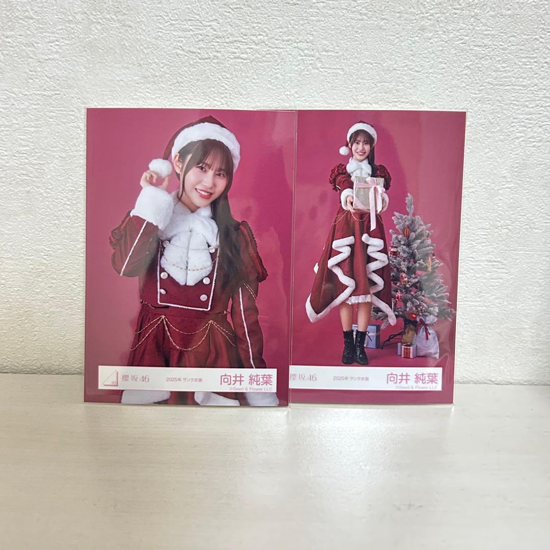 櫻坂46 生写真 向井純葉 サンタ衣装 2025 - メルカリ