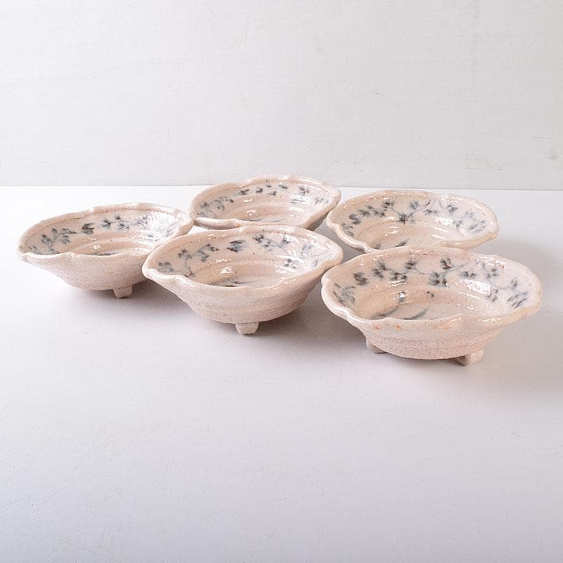 和食器　美濃焼　陽山窯　三代　水野雅之作　志野向付　五客揃　共箱　VR8272H