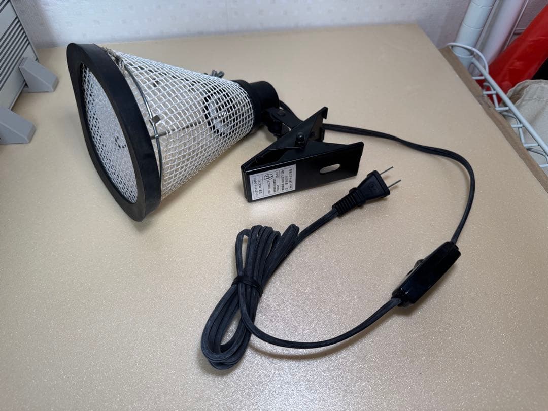 WildPlanet850ケース他フトアゴヒゲトカゲ飼育セット（現地引渡し