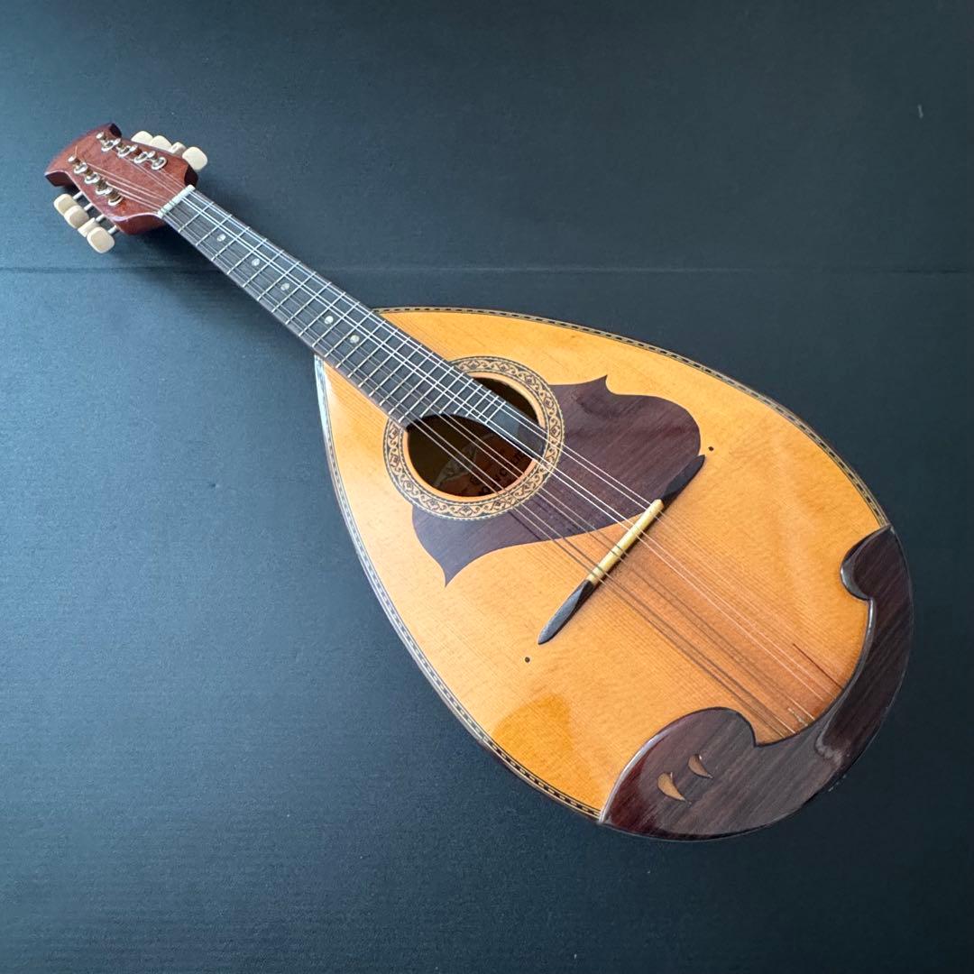 ハードケース付】SUZUKI マンドリン M-215 - メルカリ