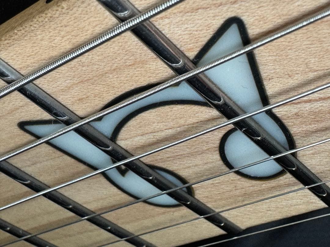 朝日六花コラボモデル ストランドバーグ strandberg 6弦 ケース付き