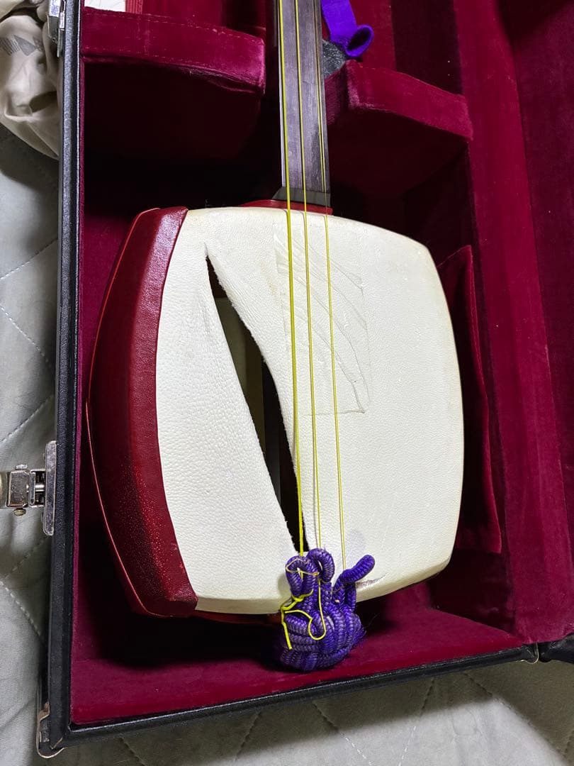 Teisco テスコ8弦スチールギターケース付