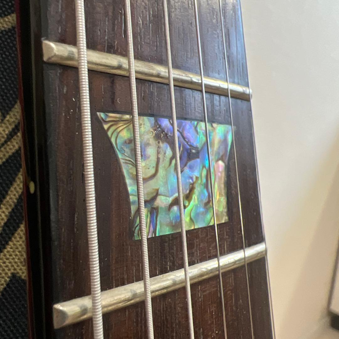 ギター EPIPHONE Tak DC Standard Plustop Cherry