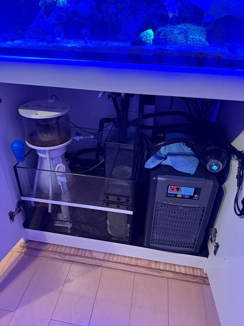 レッドシー、リーファ250、AIプライム、バブルラッシュ、クーラー