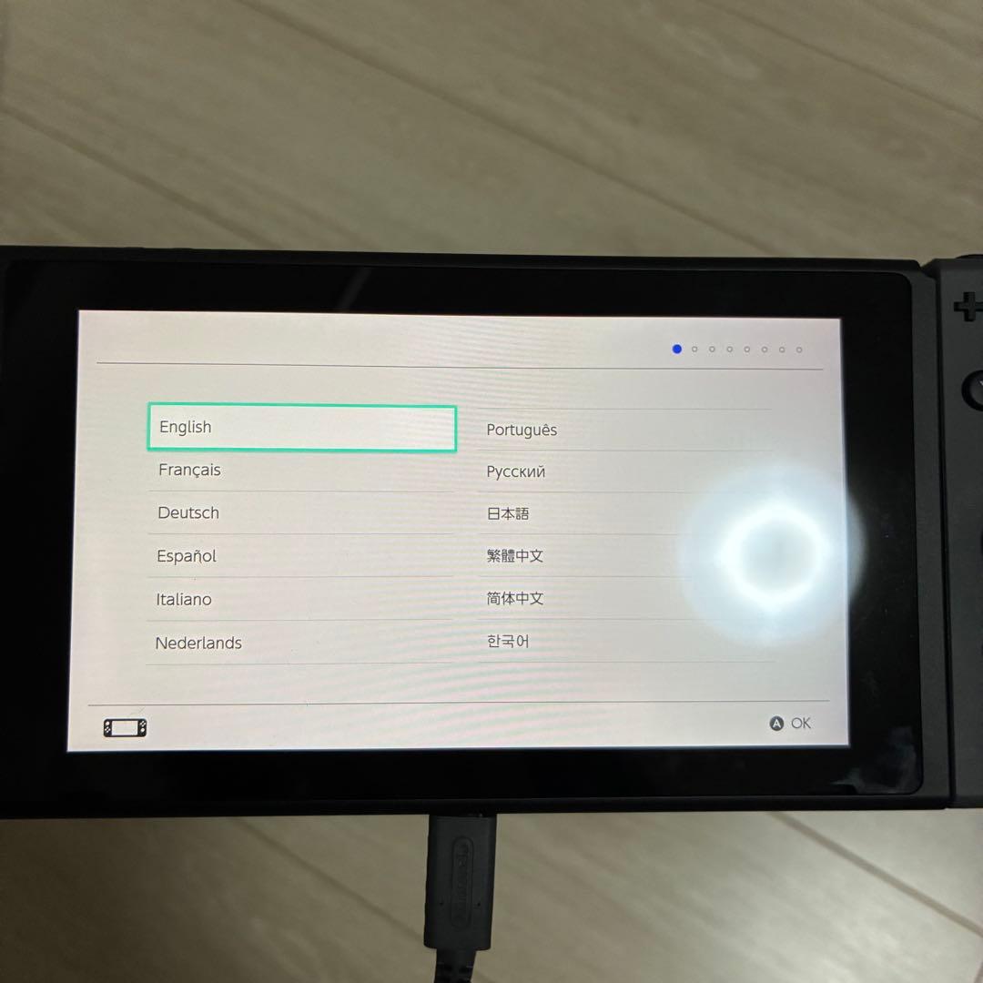Nintendo Switch グレー 2024年購入