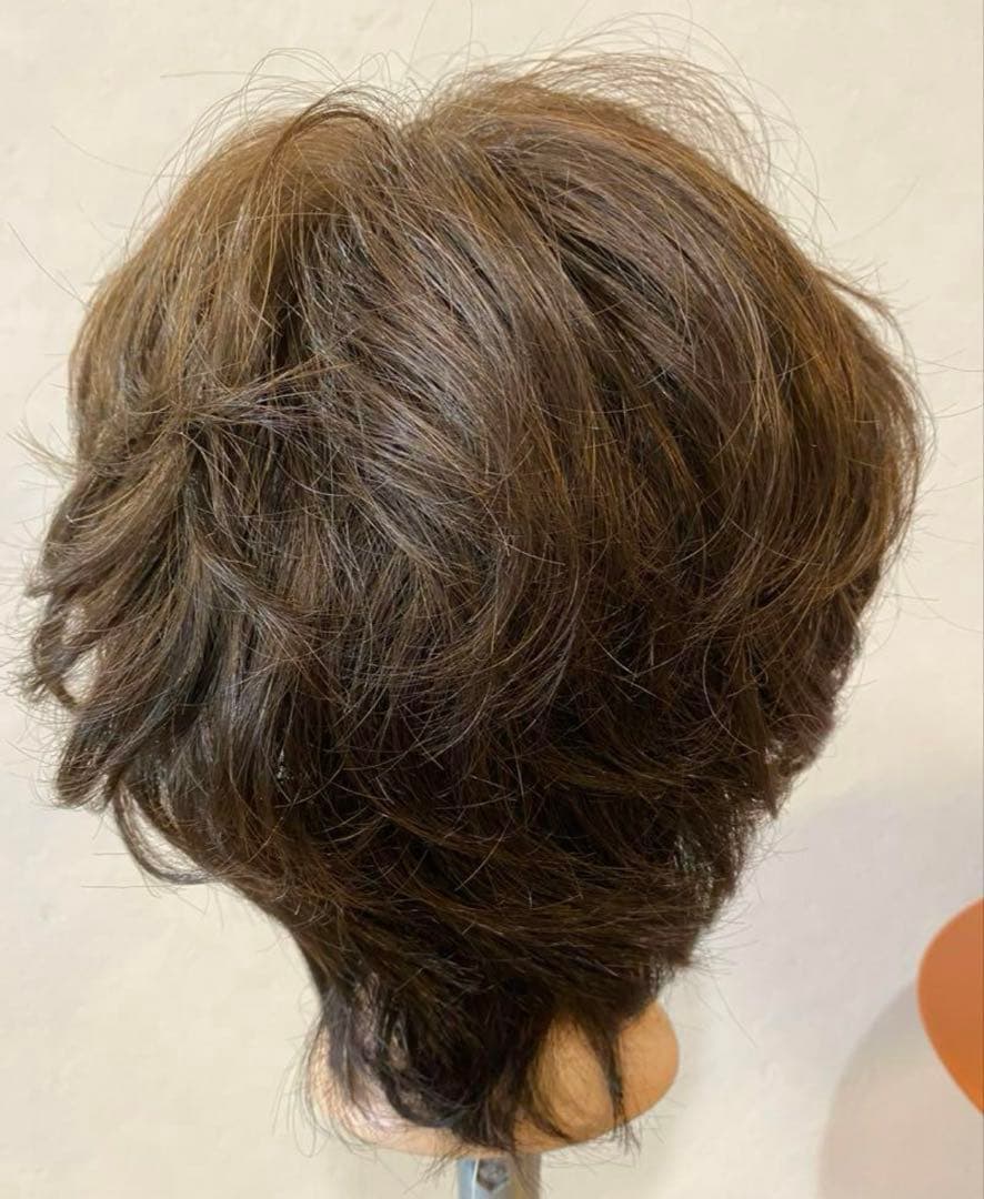 新品　タグ付き　フルウィッグ　フォンテーヌ