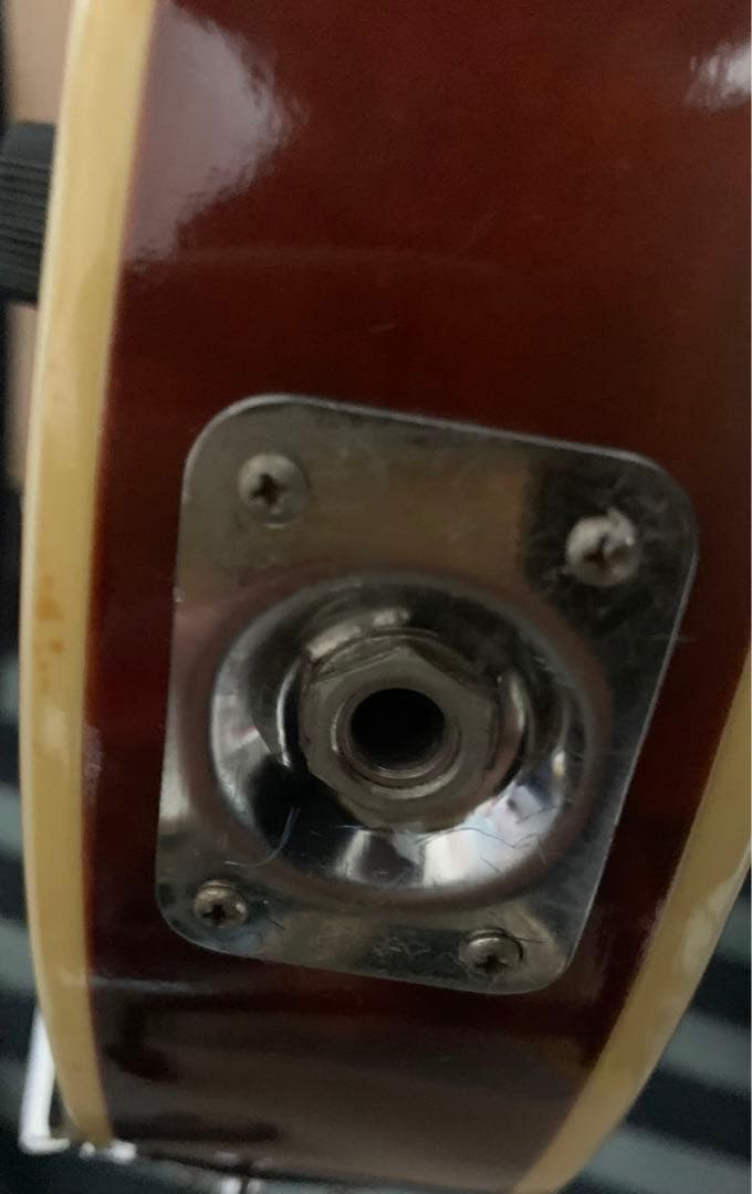 Samick エレキマンドリン 専用ハードケース付き