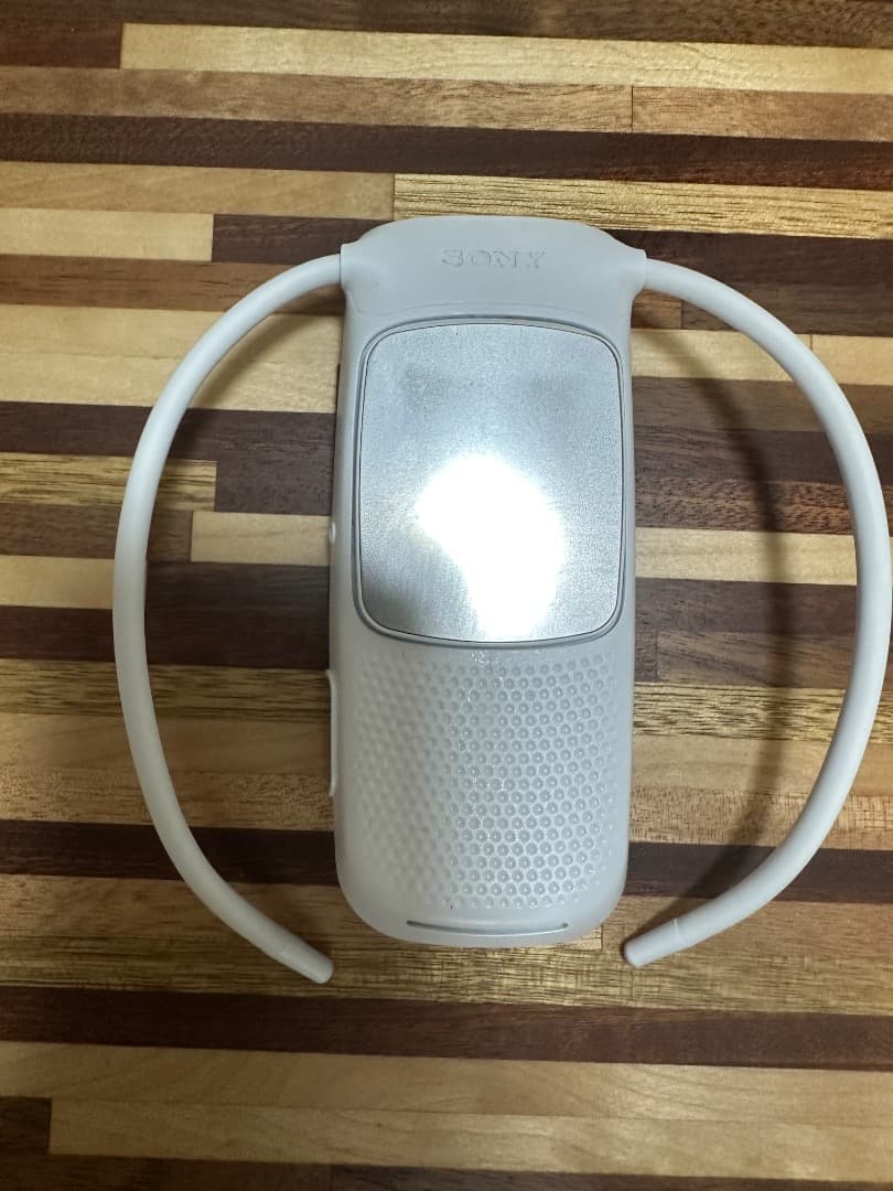 SONY REON POCKET5 箱にダメージあり