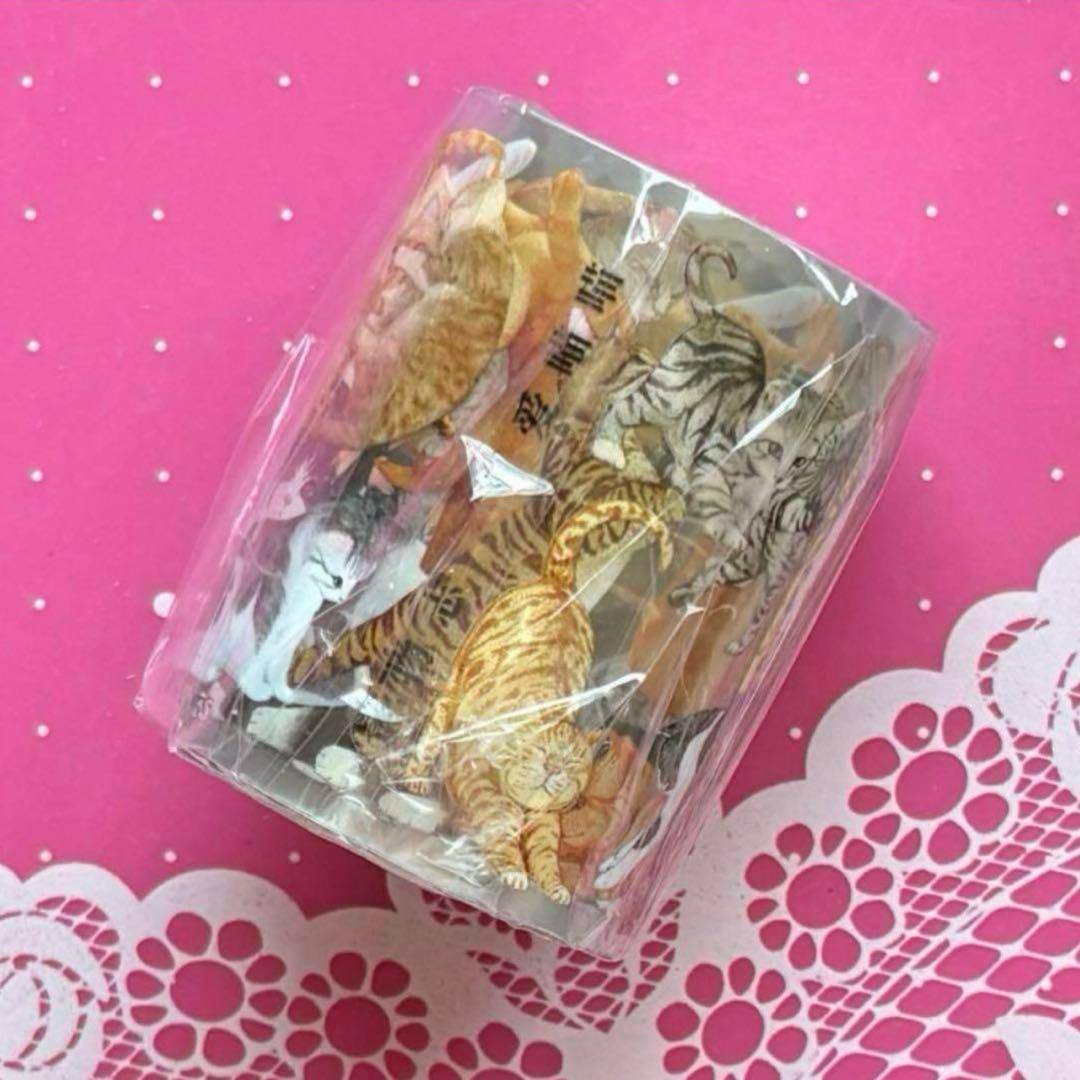 PET 5cm×5m 可爱喵喵 海外マスキングテープ