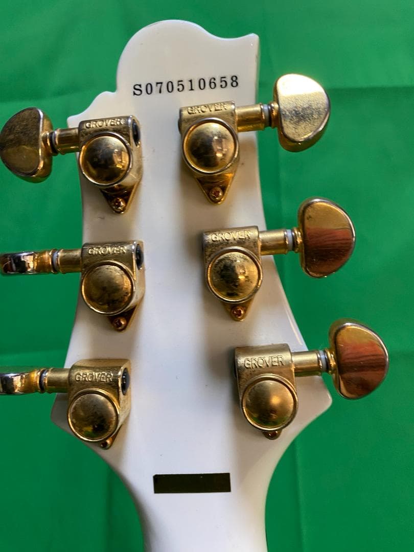 Greg Bennett RL4LTD White　セミアコ