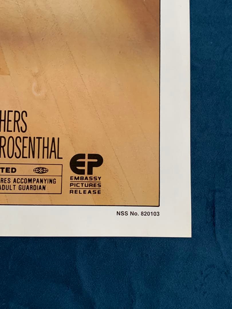 超能力学園Z ZAPPED！　USオリジナル映画ポスター