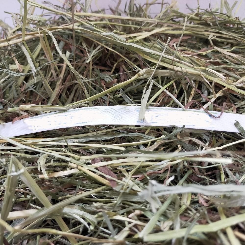 12/30まで】US産 チモシー 40kg 2番刈 ソフトSプレミアム