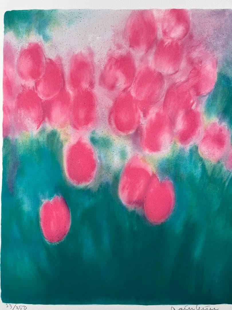 大きめ リトグラフ 新品額入 46✖️63 ジニーキム サイン ED 証明書