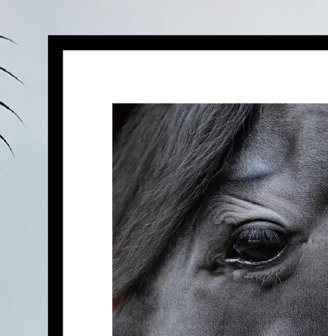 馬・No.003／「HAKU 」アートポスター　400×500