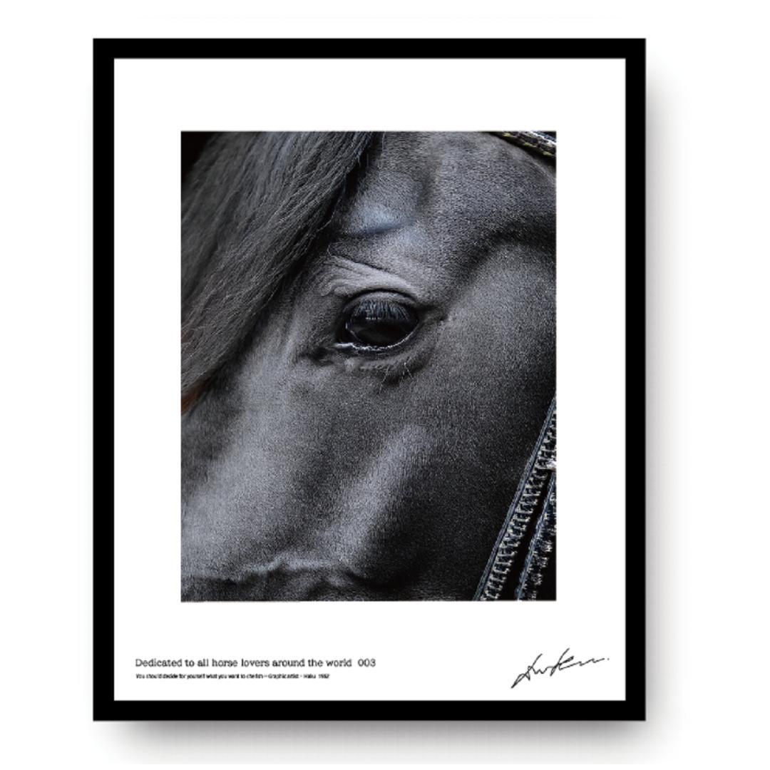馬・No.003／「HAKU 」アートポスター　400×500