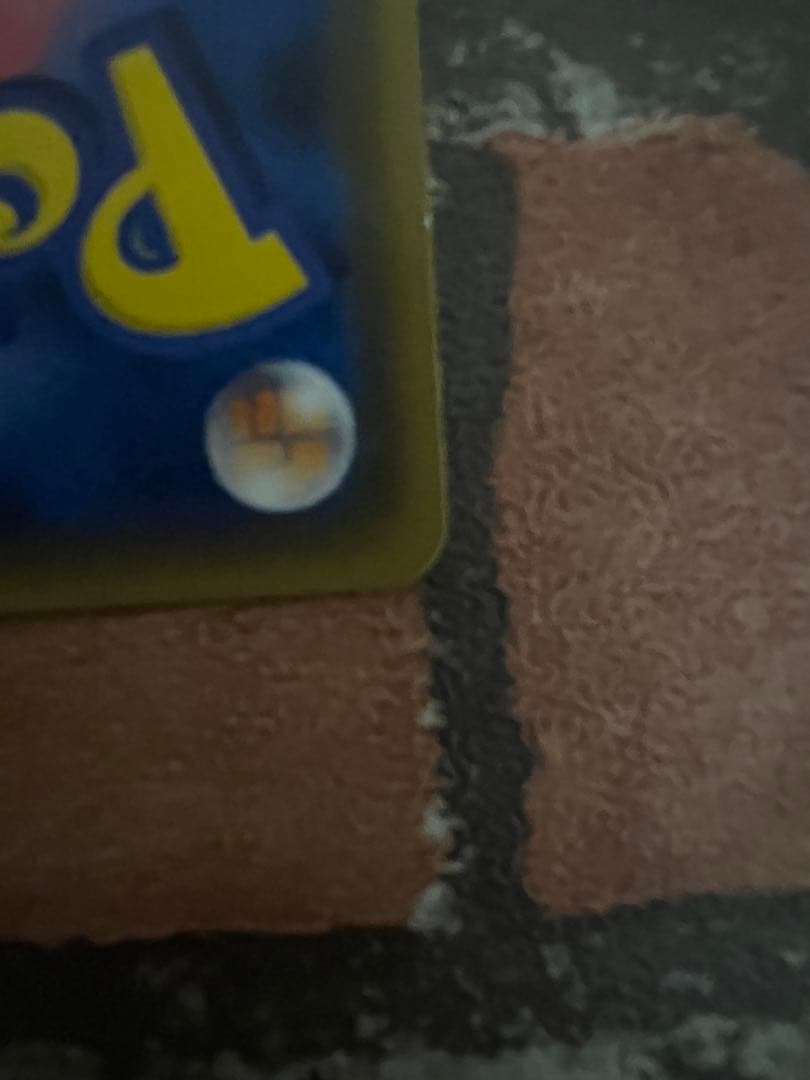 紳士風のピカチュウ：ポケモンセンタートウキョーDX オープン記念 にほんばれキ…